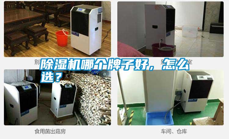 除濕機哪個牌子好，怎么選？