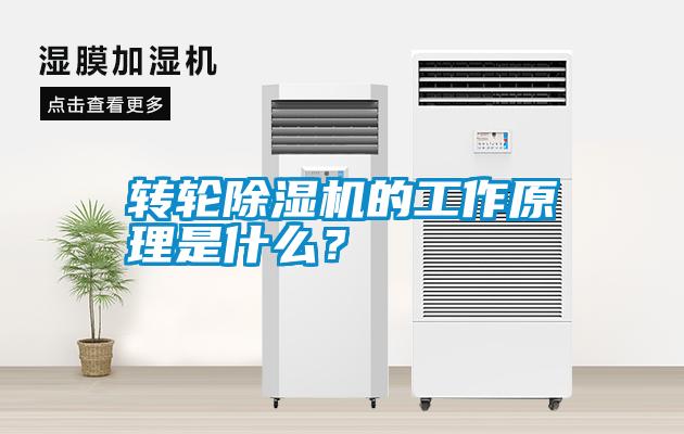 轉輪除濕機的工作原理是什么？