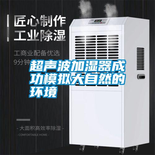 超聲波加濕器成功模擬大自然的環境