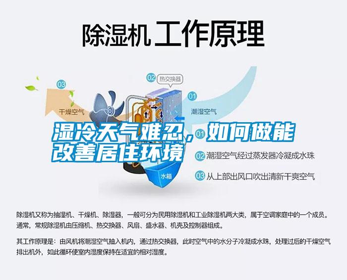 濕冷天氣難忍，如何做能改善居住環境