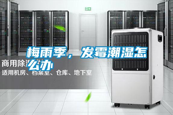梅雨季，發霉潮濕怎么辦