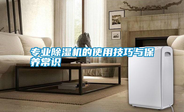專業除濕機的使用技巧與保養常識