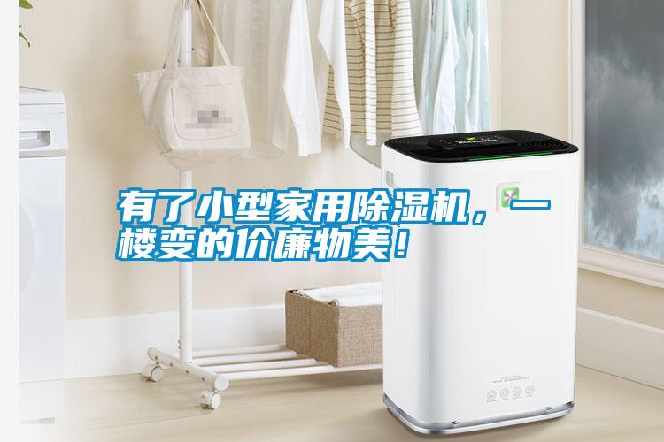 有了小型家用除濕機，一樓變的價廉物美！