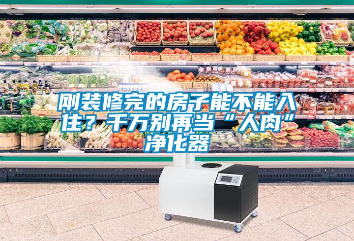 剛裝修完的房子能不能入住？千萬別再當“人肉”凈化器