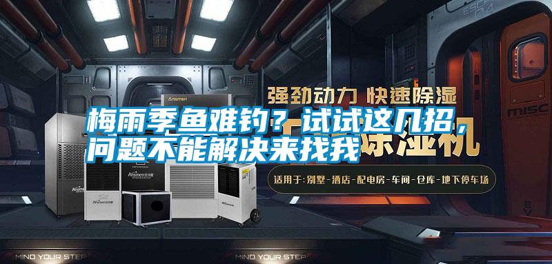 梅雨季魚難釣？試試這幾招，問題不能解決來找我