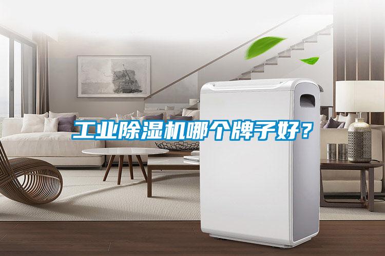工業(yè)除濕機(jī)哪個牌子好？
