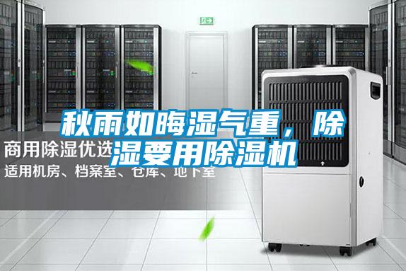 秋雨如晦濕氣重，除濕要用除濕機