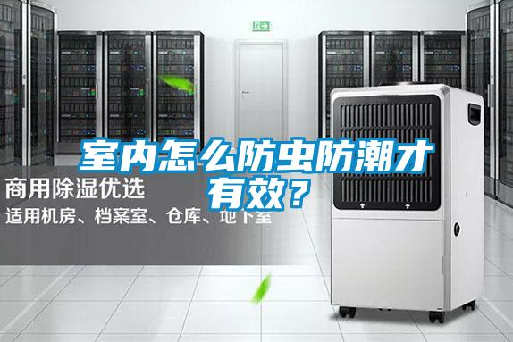 室內怎么防蟲防潮才有效？