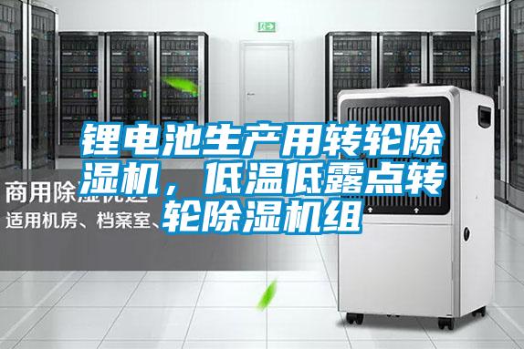 鋰電池生產(chǎn)用轉(zhuǎn)輪除濕機(jī)，低溫低露點(diǎn)轉(zhuǎn)輪除濕機(jī)組