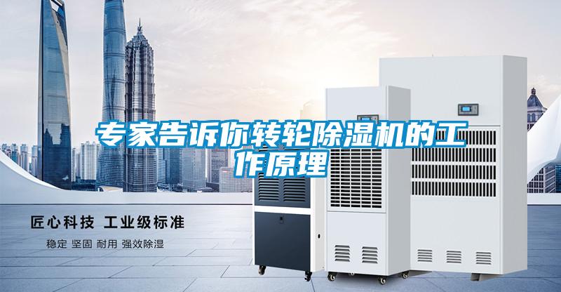 專家告訴你轉輪除濕機的工作原理