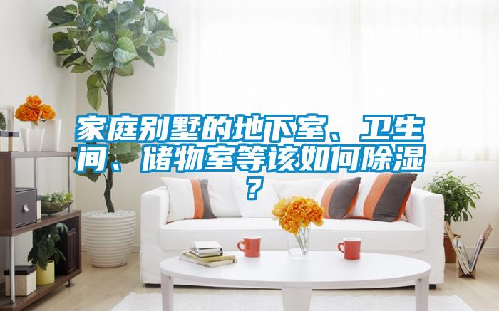 家庭別墅的地下室、衛生間、儲物室等該如何除濕？