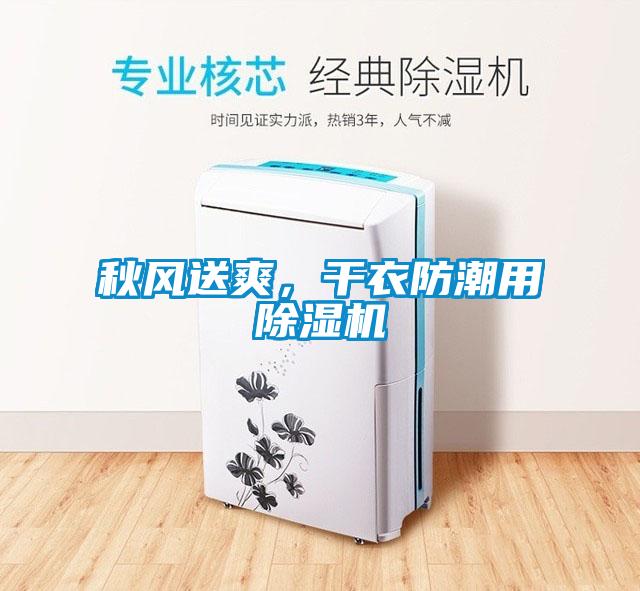 秋風送爽，干衣防潮用除濕機