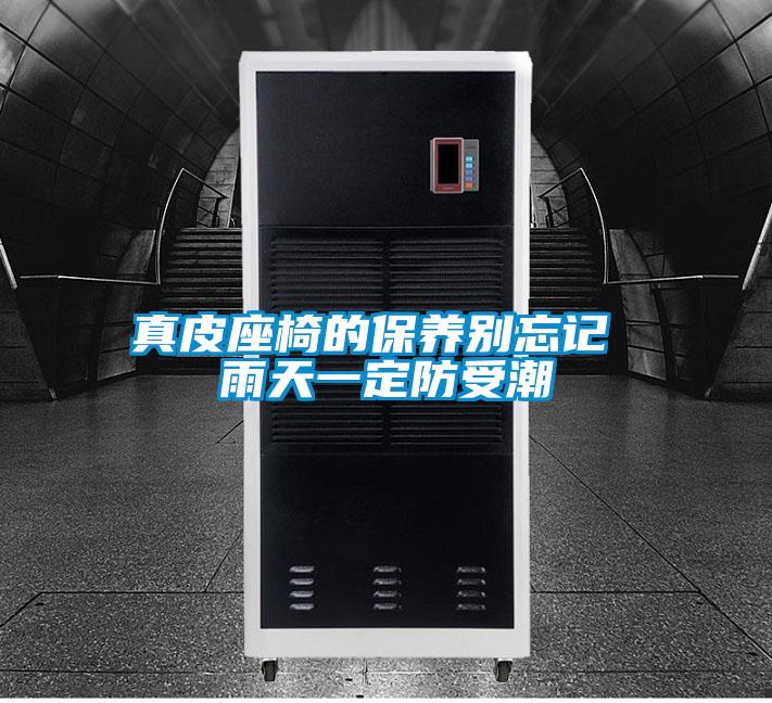 真皮座椅的保養別忘記 雨天一定防受潮