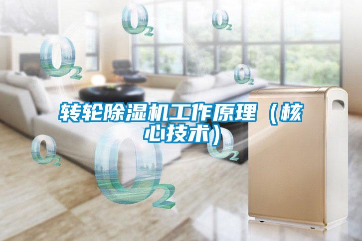 轉(zhuǎn)輪除濕機工作原理（核心技術(shù)）