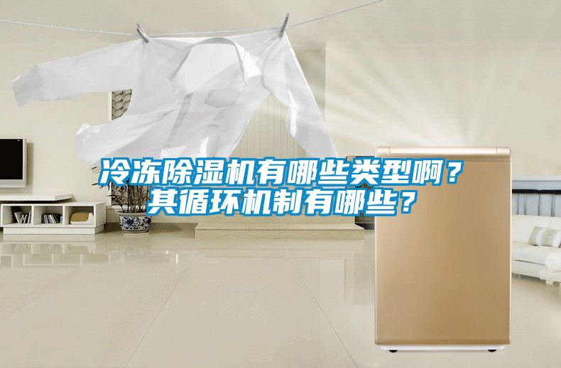 冷凍除濕機有哪些類型啊？其循環機制有哪些？