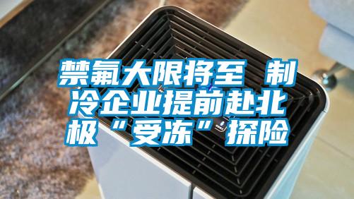 禁氟大限將至 制冷企業(yè)提前赴北極“受凍”探險