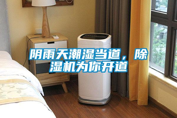 陰雨天潮濕當道，除濕機為你開道