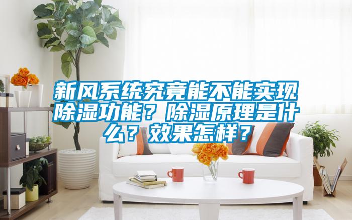 新風系統究竟能不能實現除濕功能？除濕原理是什么？效果怎樣？