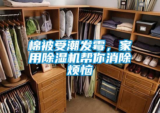 棉被受潮發霉，家用除濕機幫你消除煩惱