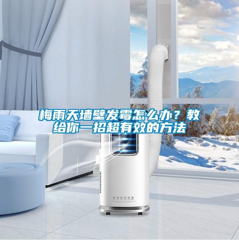 梅雨天墻壁發霉怎么辦？教給你一招超有效的方法
