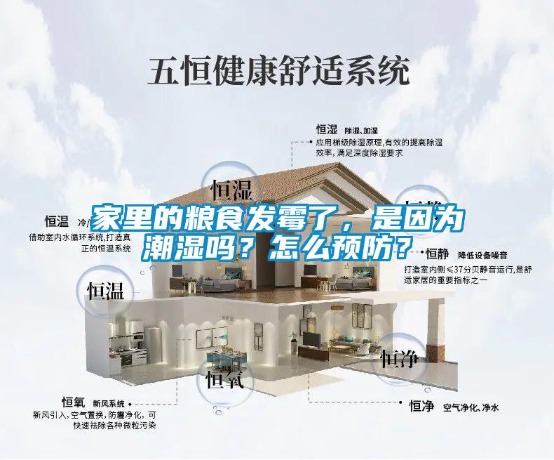 家里的糧食發(fā)霉了，是因為潮濕嗎？怎么預防？