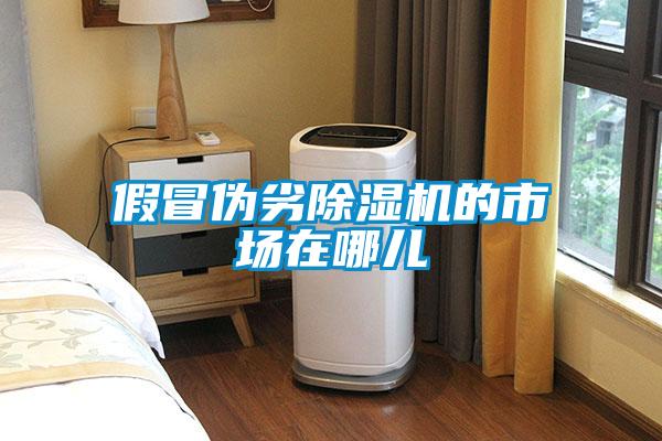 假冒偽劣除濕機的市場在哪兒