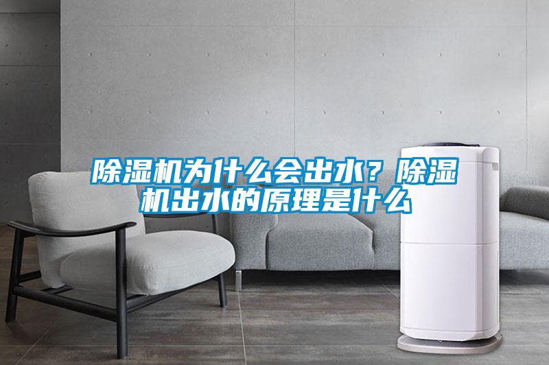除濕機(jī)為什么會(huì)出水？除濕機(jī)出水的原理是什么