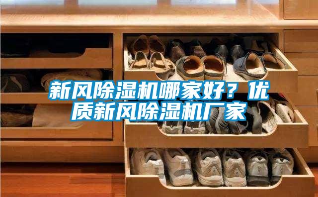 新風(fēng)除濕機哪家好？優(yōu)質(zhì)新風(fēng)除濕機廠家