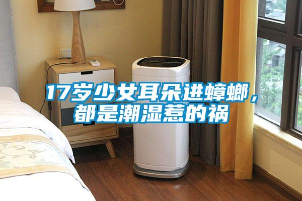 17歲少女耳朵進(jìn)蟑螂，都是潮濕惹的禍