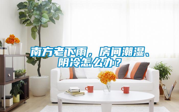 南方老下雨，房間潮濕、陰冷怎么辦？