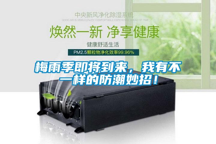 梅雨季即將到來，我有不一樣的防潮妙招！