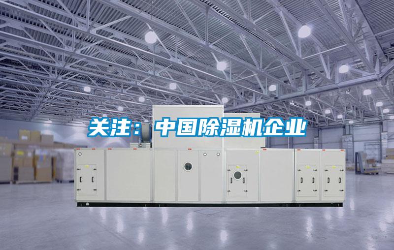 關注：中國除濕機企業