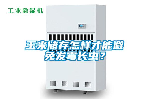 玉米儲存怎樣才能避免發霉長蟲？