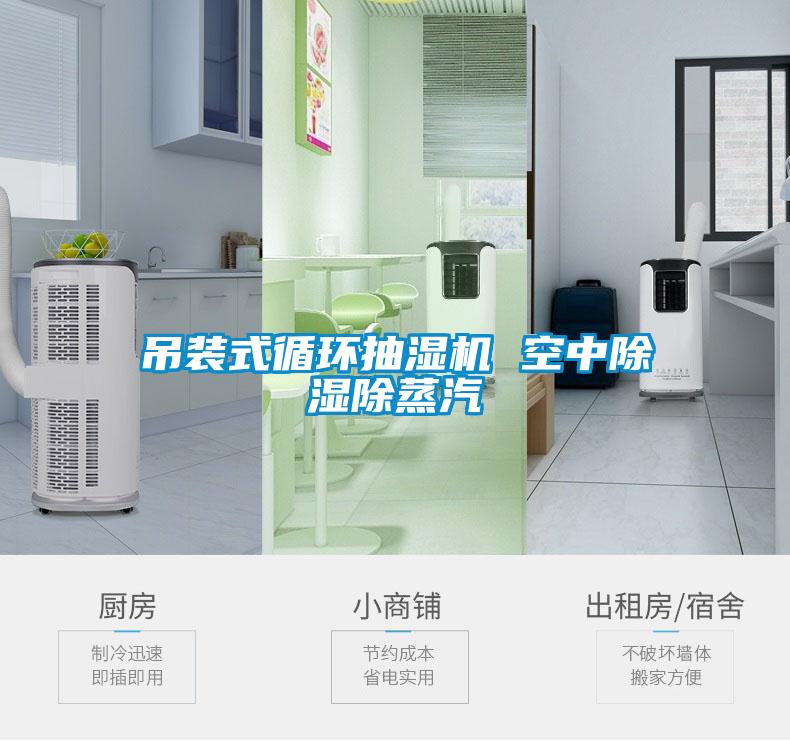 吊裝式循環(huán)抽濕機 空中除濕除蒸汽