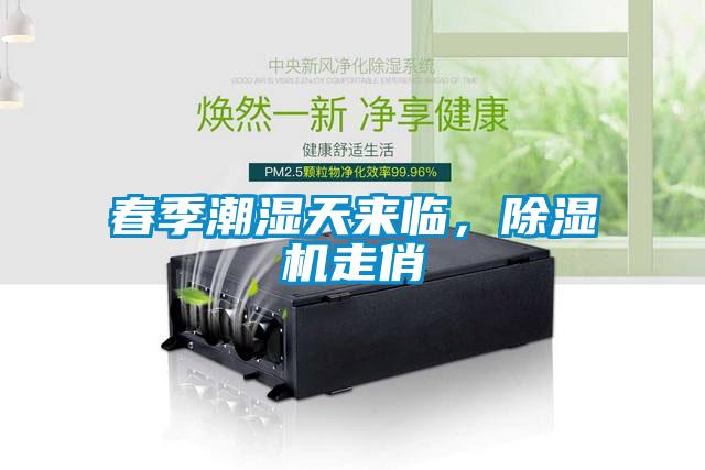 春季潮濕天來(lái)臨，除濕機(jī)走俏