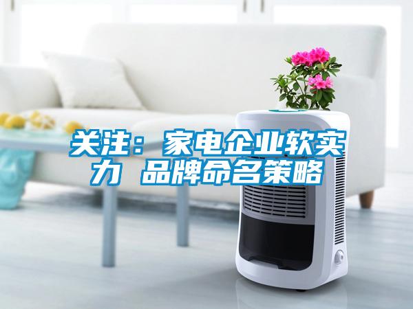 關注：家電企業軟實力 品牌命名策略