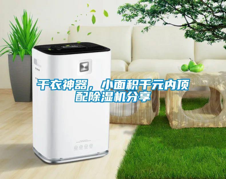 干衣神器，小面積千元內頂配除濕機分享
