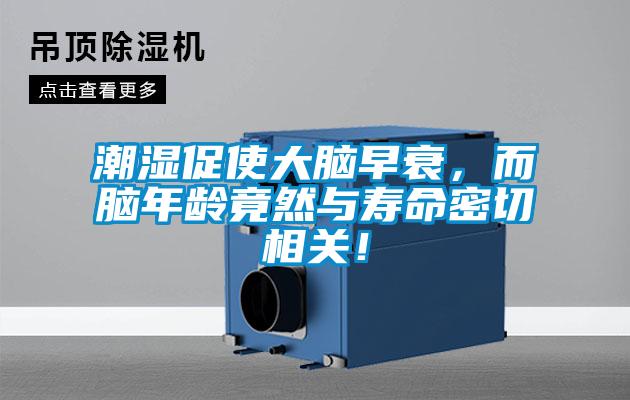 潮濕促使大腦早衰，而腦年齡竟然與壽命密切相關！