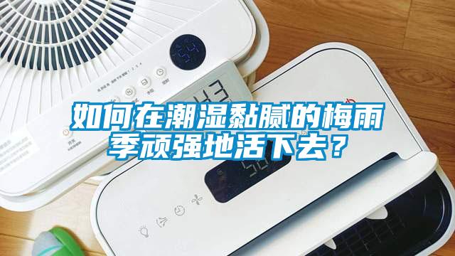 如何在潮濕黏膩的梅雨季頑強(qiáng)地活下去？