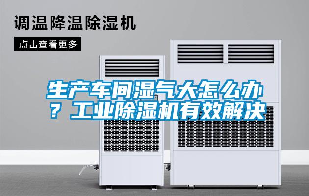 生產車間濕氣大怎么辦？工業除濕機有效解決