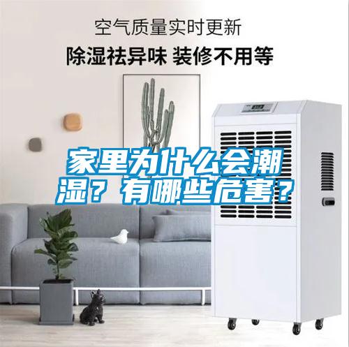 家里為什么會潮濕？有哪些危害？