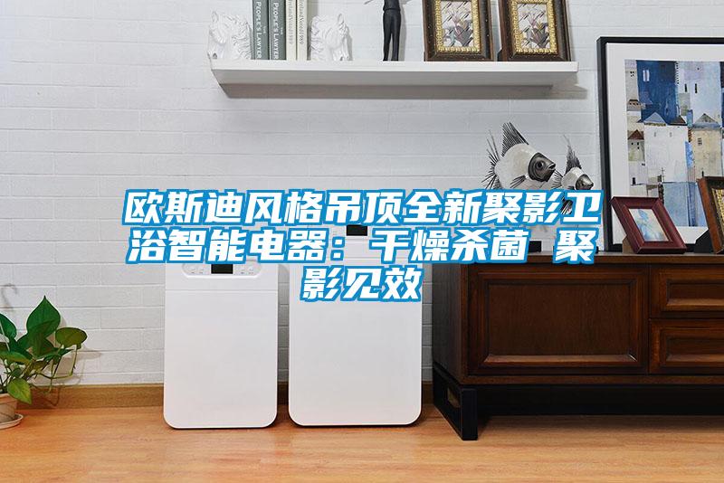 歐斯迪風格吊頂全新聚影衛浴智能電器：干燥殺菌 聚影見效