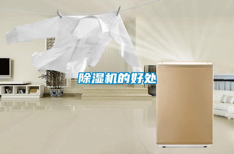 除濕機的好處