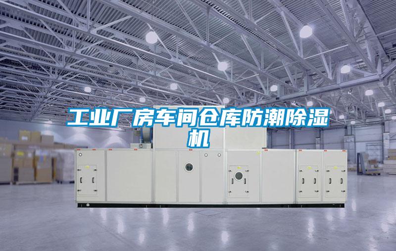工業(yè)廠房車間倉庫防潮除濕機(jī)