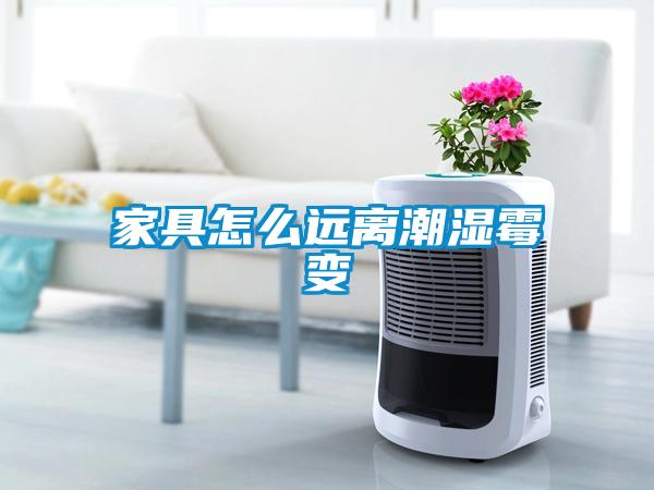家具怎么遠離潮濕霉變