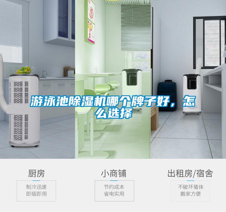 游泳池除濕機(jī)哪個(gè)牌子好，怎么選擇