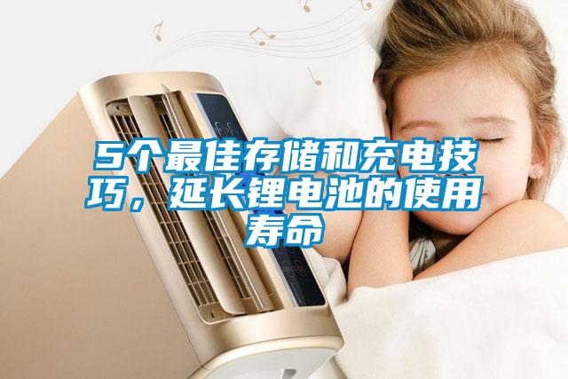 5個最佳存儲和充電技巧，延長鋰電池的使用壽命