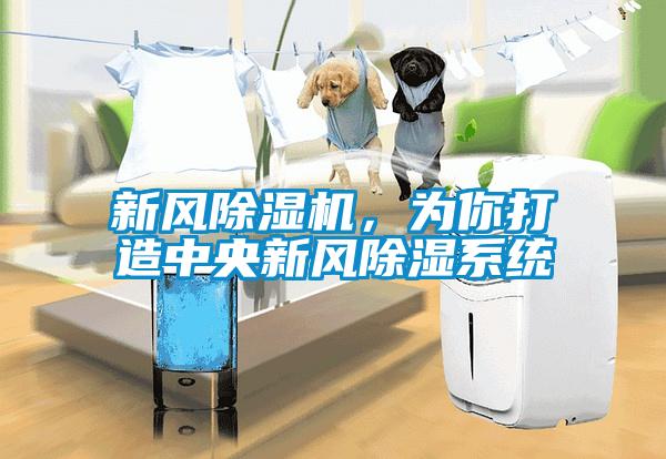 新風(fēng)除濕機(jī)，為你打造中央新風(fēng)除濕系統(tǒng)