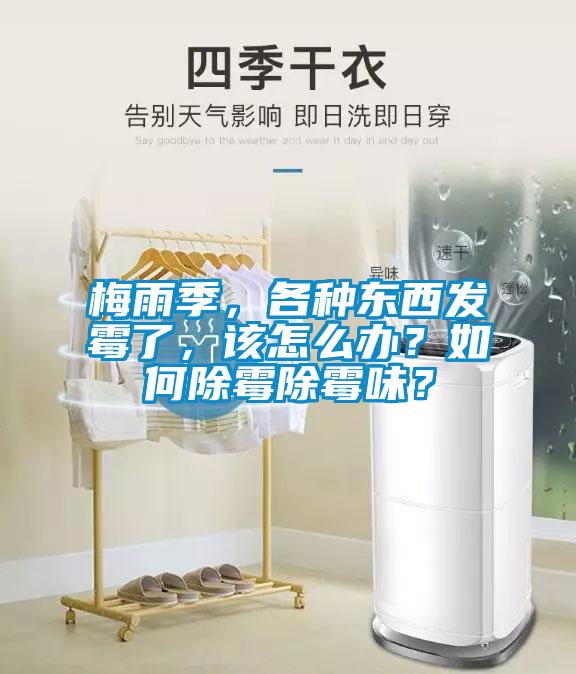 梅雨季，各種東西發(fā)霉了，該怎么辦？如何除霉除霉味？