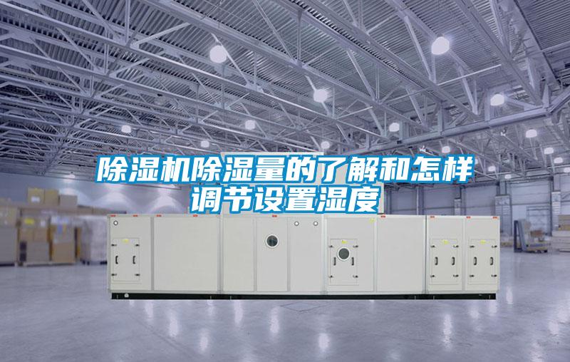 除濕機除濕量的了解和怎樣調節(jié)設置濕度
